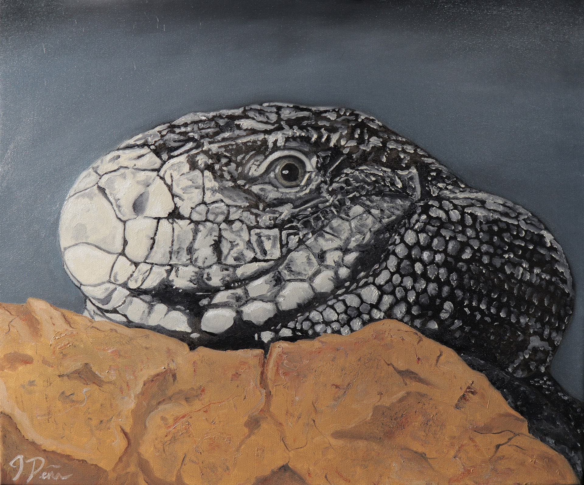 My Friend Goji, The Argentine Black and White Tegu